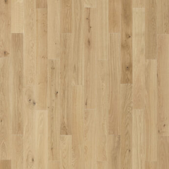 TGP DUB 1L BERGEN NATURAL BIELY OLEJ KART 4Vm  5Gc