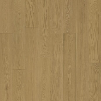3LP 1L AM DUB CORSICA AB BRUSH LACQ T+G